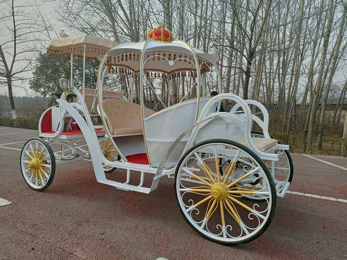 Wedding Carriage Service Sydney