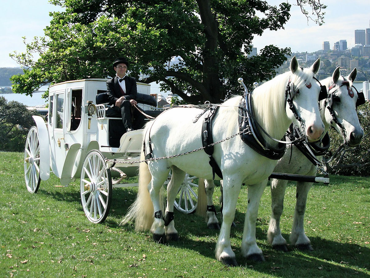 Wedding Carriage 