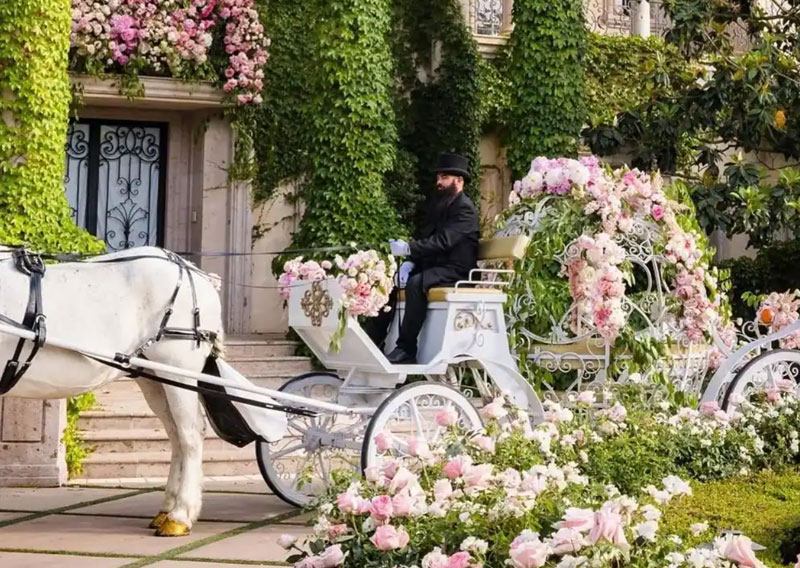 Wedding Carriage Sydney